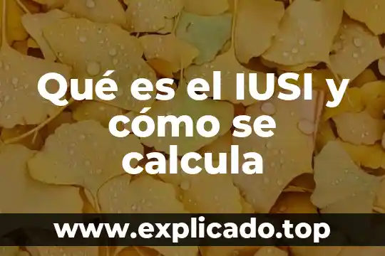 Que es la electronegatividad y como se calcula 8 Qué es el IUSI y cómo se calcula