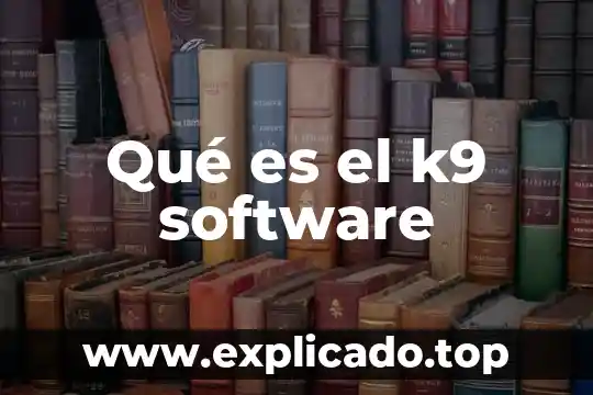 Consultoria de servicios de software que es 3 Qué es el k9 software