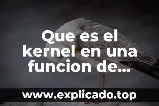Que es el kernel en una funcion de densidad