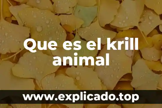 Qué es un wombat animal 4 Que es el krill animal