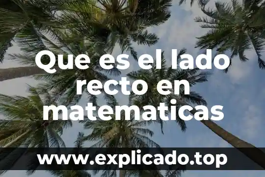 A que es igual el doble de un angulo recto 5 Que es el lado recto en matematicas