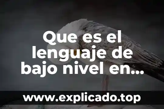 Qué es el bajo relieve en el arte 5 Que es el lenguaje de bajo nivel en informatica