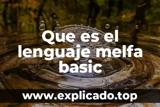 Qué es mdi parent form en Visual Basic 2010 4 Que es el lenguaje melfa basic