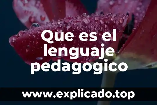 Que es el lenguaje y tipos de lenguajes psicologia 3 Que es el lenguaje pedagogico
