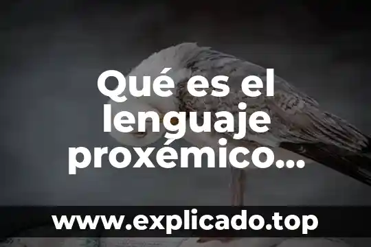 Weimar que es 7 Qué es el lenguaje proxémico Yahoo