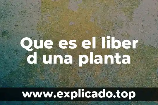 De manera general qué es mifasis en biología 8 Que es el liber d una planta