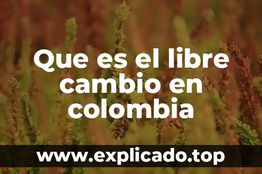 Que es el libre cambio en colombia