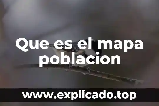 Que es el mapa poblacion