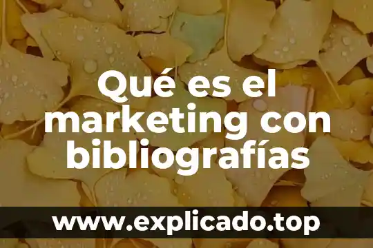 Que es el impacto en marketing 8 Qué es el marketing con bibliografías