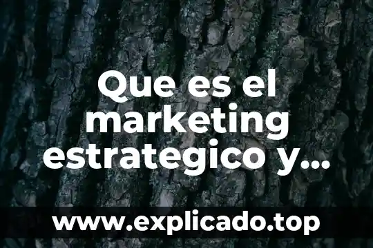 Qué es un sistema operativo que recursos controla 6 Que es el marketing estrategico y operativo