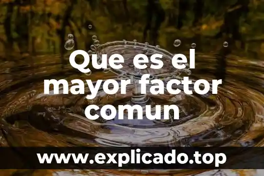El carbonato común que es lo que contiene 4 Que es el mayor factor comun