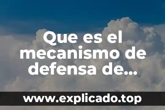 Que es un tipo de defensa fiscal 8 Que es el mecanismo de defensa de anulacion