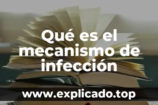 Que es un broncodilatador y su mecanismo de accion prezi 8 Qué es el mecanismo de infección