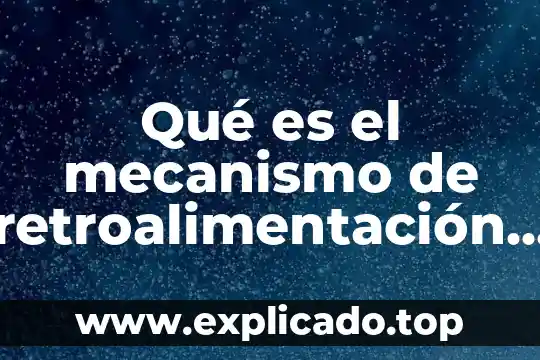 Que es codependencia en la violencia de genero 6 Qué es el mecanismo de retroalimentación negativa