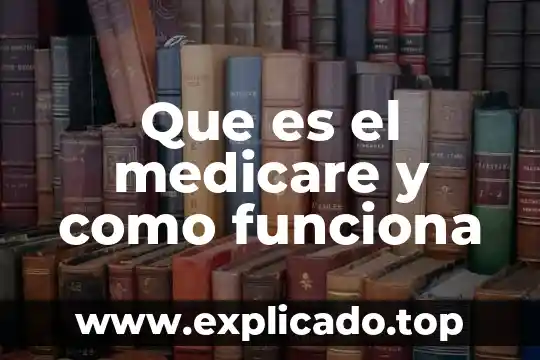 Que es punto como elemento de expresion plastica 6 Que es el medicare y como funciona