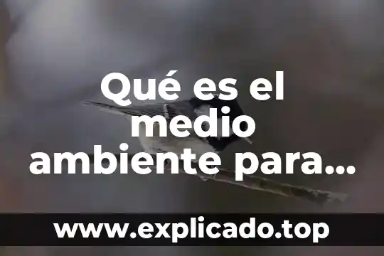 Qué es un medio ambiente hostil 8 Qué es el medio ambiente para niños de preescolar definición