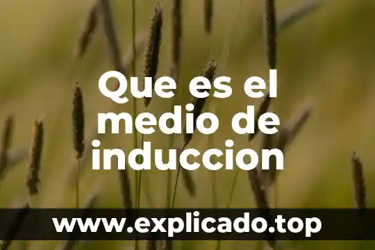 En el medio científico que es el procedimiento 7 Que es el medio de induccion