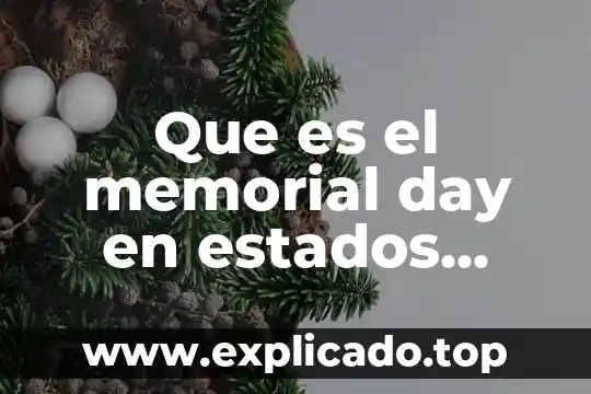 Qué es más exportación fusión adquisición en Estados Unidos 5 Que es el memorial day en estados unidos