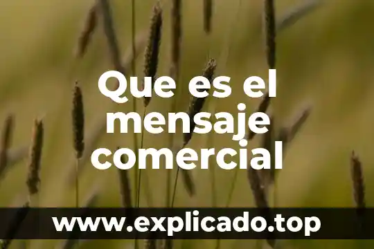 Que es un antisuero comercial 5 Que es el mensaje comercial