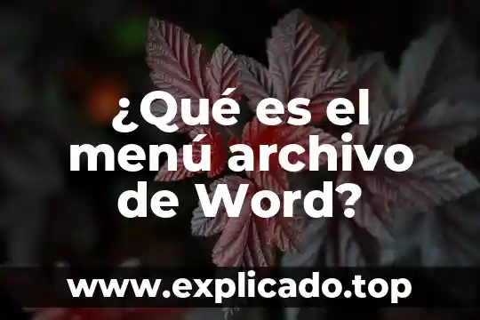 Que es un archivo de internet 5 ¿Qué es el menú archivo de Word?