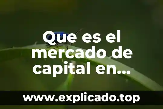 Ley del impuesto sobre la renta que es 4 Que es el mercado de capital en renta fija