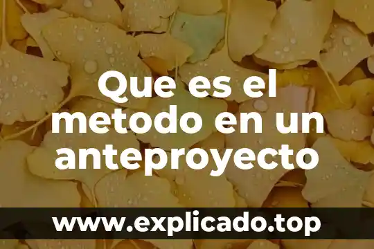 Que es el metodo trocoso 4 Que es el metodo en un anteproyecto