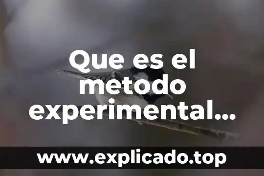 Que es el metodo experimental en metodologia de la investigacion