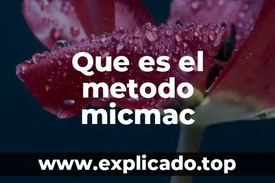 Que es el metodo trocoso 3 Que es el metodo micmac