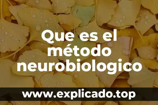 Que es el metodo de cubo en la criminalistica 3 Que es el método neurobiologico