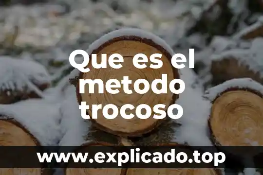 Que es el metodo en un anteproyecto 8 Que es el metodo trocoso