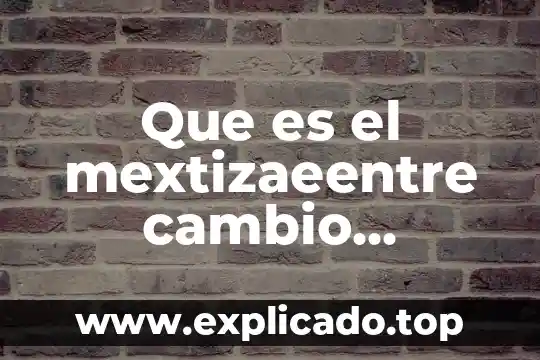 Que es defecto de una red de superficie informatica 4 Que es el mextizaeentre cambio culturañ