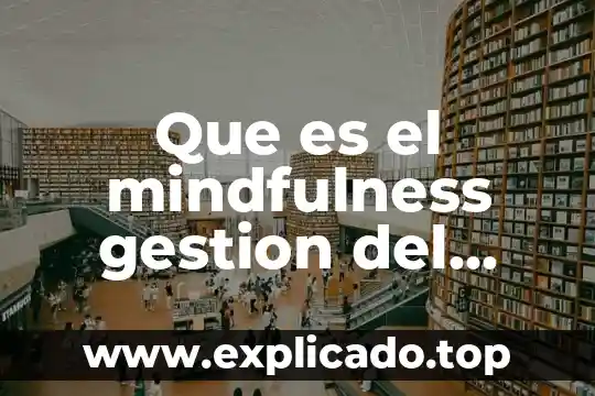 Que es defecto de una red de superficie informatica 3 Que es el mindfulness gestion del tiempo
