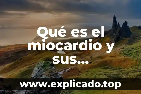 Plantillas web responsive que es 6 Qué es el miocardio y sus características