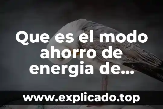 Que es el modo inmortal 8 Que es el modo ahorro de energia de iphone