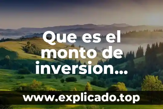 Que es y como se calcula la inversion diferida 8 Que es el monto de inversion extrangera directa