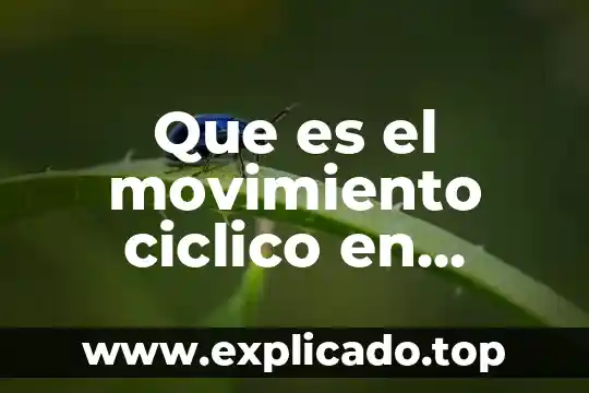 Que es persona fisica con actividad empresarial por asimilados 8 Que es el movimiento ciclico en educacion fisica