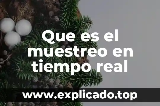 Que es intervalo de tiempo fisica 3 Que es el muestreo en tiempo real