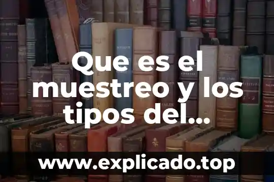 Que es el muestreo y los tipos del muestreo