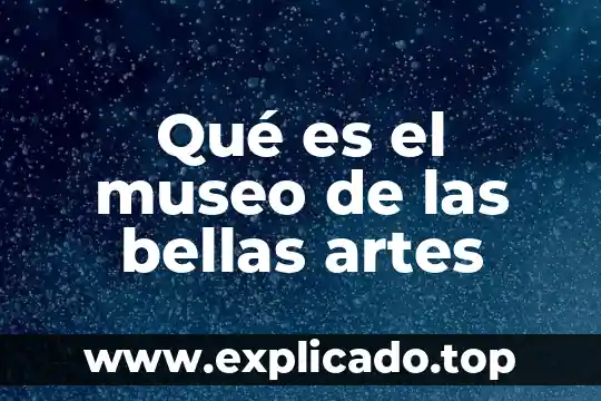 Qué es instituto nacional de bellas artes 3 Qué es el museo de las bellas artes