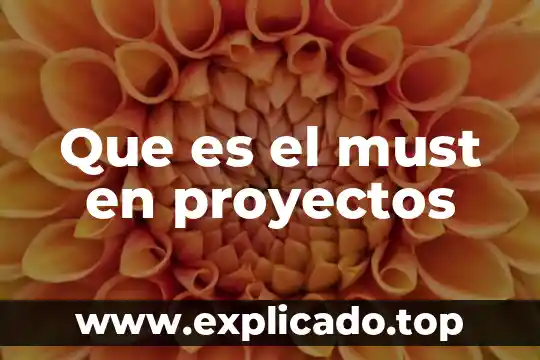 Qué es MGA en proyectos 3 Que es el must en proyectos