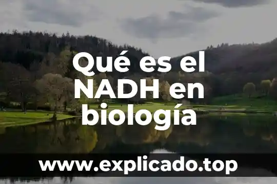 Que es la biologia universisda 5 Qué es el NADH en biología