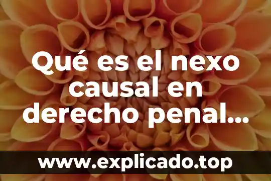 Que es la vinculacion a proceso penal 7 Qué es el nexo causal en derecho penal unam