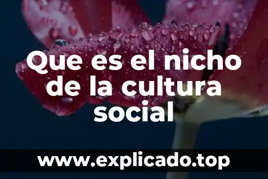 Que es objetivo general en administracion 5 Que es el nicho de la cultura social