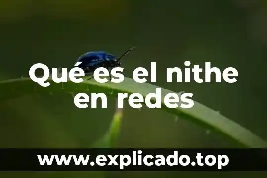 Que es bw en redes 5 Qué es el nithe en redes