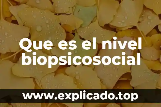 Que es el nivel de generalidad 6 Que es el nivel biopsicosocial