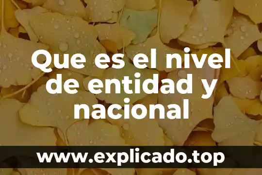 Que es el nivel de ingresos 8 Que es el nivel de entidad y nacional