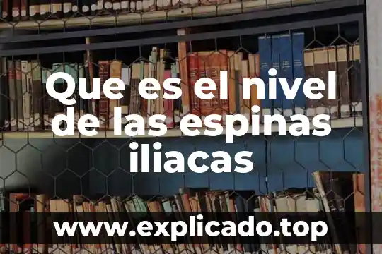 Que es el nivel de generalidad 3 Que es el nivel de las espinas iliacas