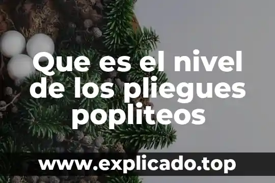 Que es el nivel de ingresos 6 Que es el nivel de los pliegues popliteos