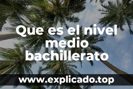 Que es un medio nutritivo 5 Que es el nivel medio bachillerato