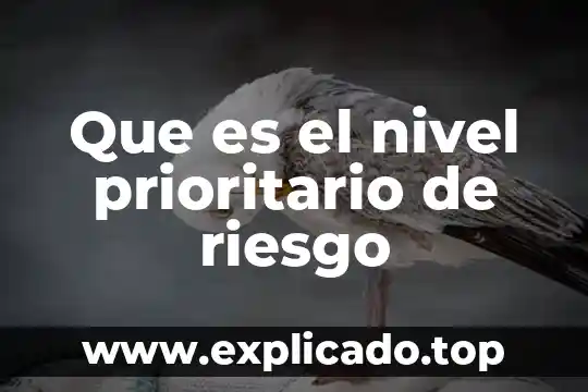 Que es el nivel de ingresos 7 Que es el nivel prioritario de riesgo